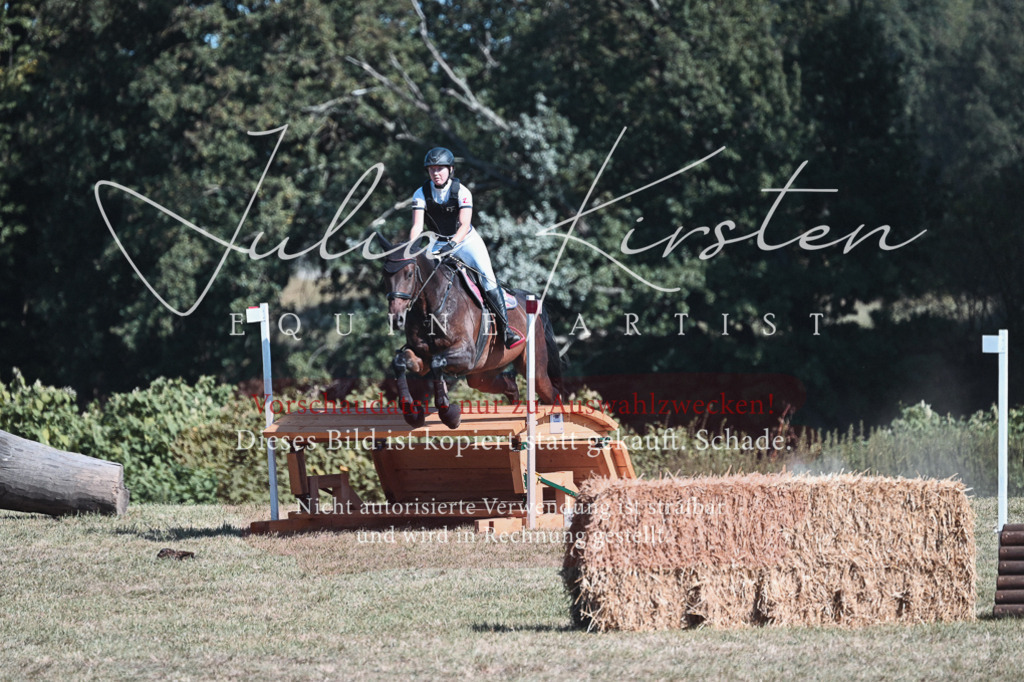 DSC_8570 | Pferde- und Turnierfotografie in Westsachsen. Pferdeportraits, Auftragszeichnungen und intuitive Kunst.