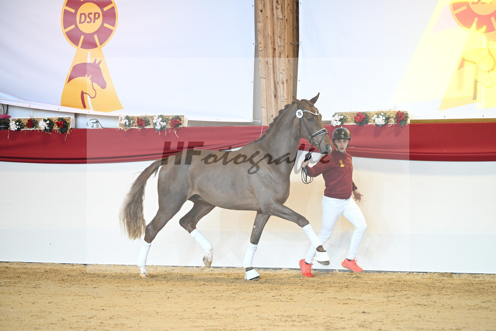 Kat-Nr. 76 Vitalis_Beckmann_1231515 | hf-fotografie - Realisiert mit Pictrs.com