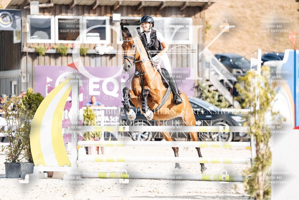 CK909476 | Turnierfotografie Pferdefotografie Trier Rheinland-Pfalz Pferdesport Reitsport Tierfotografie Sportfotografie Pferdevideo Pferdevideografie Equestrianvideography equestrianphotography  - Realisiert mit Pictrs.com
