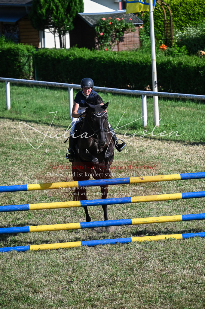DSC_2533 | Pferde- und Turnierfotografie in Westsachsen. Pferdeportraits, Auftragszeichnungen und intuitive Kunst.