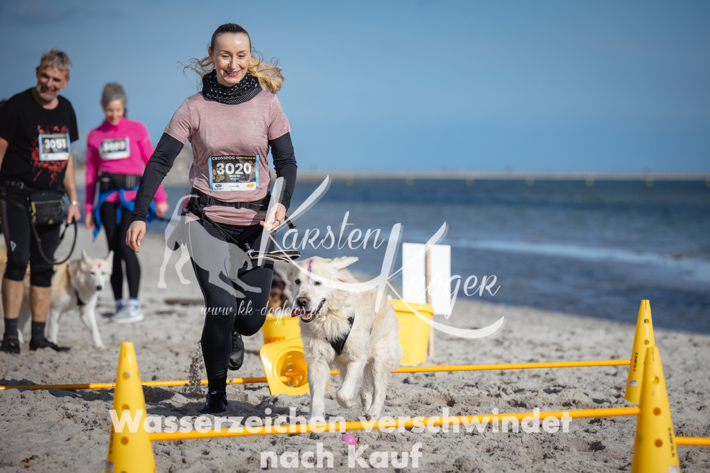 1345_ZZ93239 | kk-dogfotos