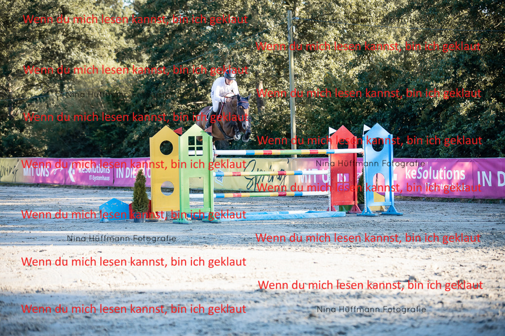 BK1A8856 | Turnierbilder Turnierfotos Nina Hüffmann Turnierfotografie Pferdefotografie Tierzeichnung Haustierzeichnung Pferdezeichnung Hundezeichnung Videograf  - Realisiert mit Pictrs.com