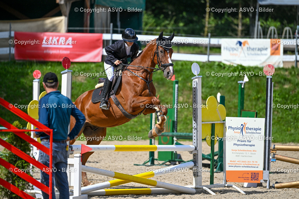 ASVÖ_ Reiten Bezirksmeisterschaft_ 24.08.2025-115 | 24.08.2025, AUT, ASVÖ, Reiten Bezirksmeisterschaft 2025Dressur und Springreiten©fodo.media / Harald Dostal - Realisiert mit Pictrs.com
