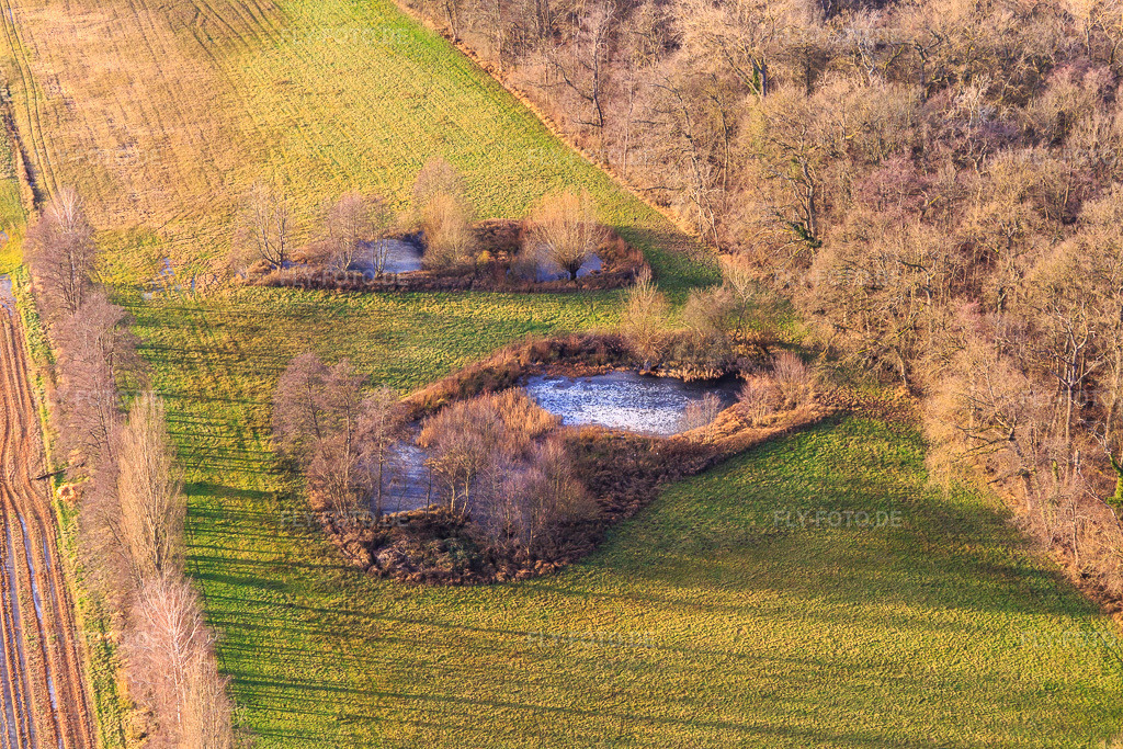 Luftbild: Biotop am Altbach im Ortsteil Minderslachen in Kandel im Bundesland Rheinland-Pfalz in Deutschland. Foto: IMG_145252.jpg vom 12.01.2025 durch Werner Riehm/FLY-FOTO.de