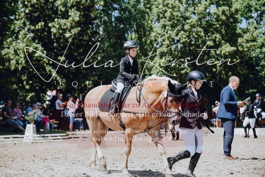 DSC_2477 | Pferde- und Turnierfotografie in Westsachsen. Pferdeportraits, Auftragszeichnungen und intuitive Kunst.