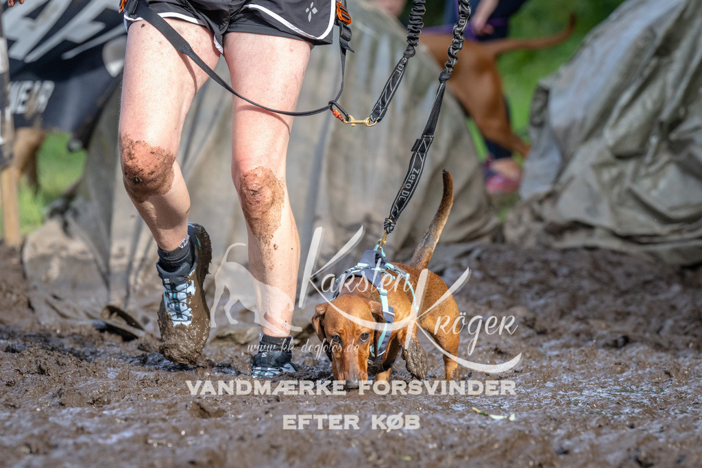 1734_ZZ92653 | kk-dogfotos