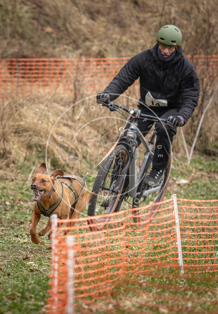 Pfotenfotografie_DV3A6802 | Hundefotografie, Tierfotograf, Pfotenfotografie, Fotoshooting Hund, Hunde Portrait, Hundesport, Hundeportraits, Heideshooting, Hunde, Sportfotograf, Hundefotograf, Turnierhundsport, THS,  - Realisiert mit Pictrs.com