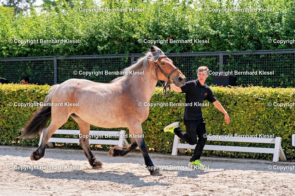 2A900634 | foto-team-bernhard - Realisiert mit Pictrs.com