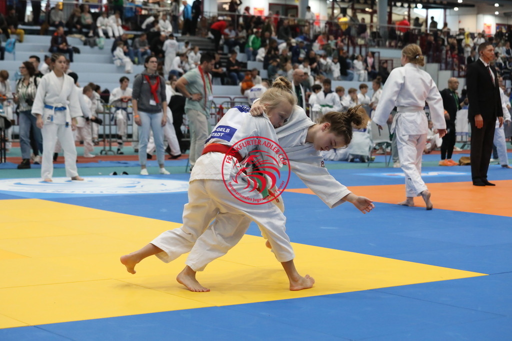 1J7A2718 | Fotos vom Adler Cup - Pictures from Adler Cup

Hier findet Ihr alle Eindrücke und großen Momente der Adler Cup Wochenenden. Here you will find all impressions and great moments of the Adler Cup weekends. - Realisiert mit Pictrs.com