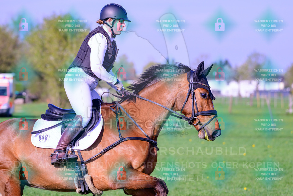 18042026-Gernlinden-02-0516 | Fokus Hufschlag Fotografie - Realisiert mit Pictrs.com