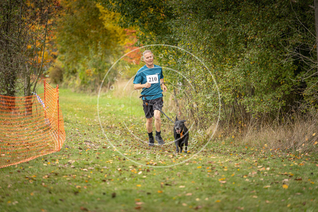 Pfotenfotografie_DV3A3961 | Hundefotografie, Tierfotograf, Pfotenfotografie, Fotoshooting Hund, Hunde Portrait, Hundesport, Hundeportraits, Heideshooting, Hunde, Sportfotograf, Hundefotograf, Turnierhundsport, THS,  - Realisiert mit Pictrs.com