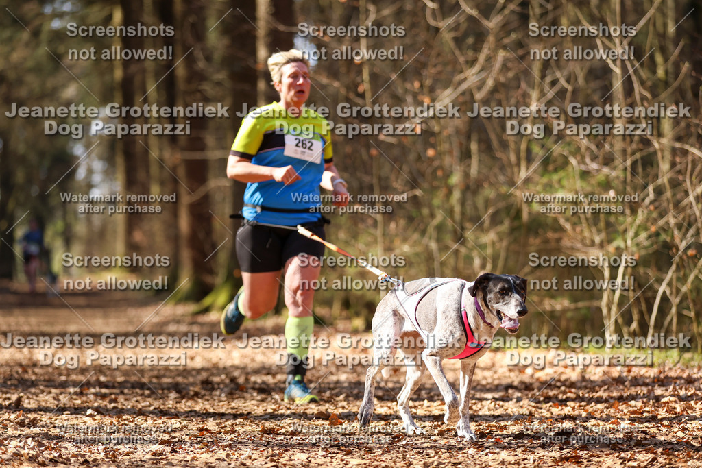 Dog Paparazzi - VCC26-1197 | Dog Paparazzi Jeanette Grottendiek Fotografie & Videografie - Realisiert mit Pictrs.com