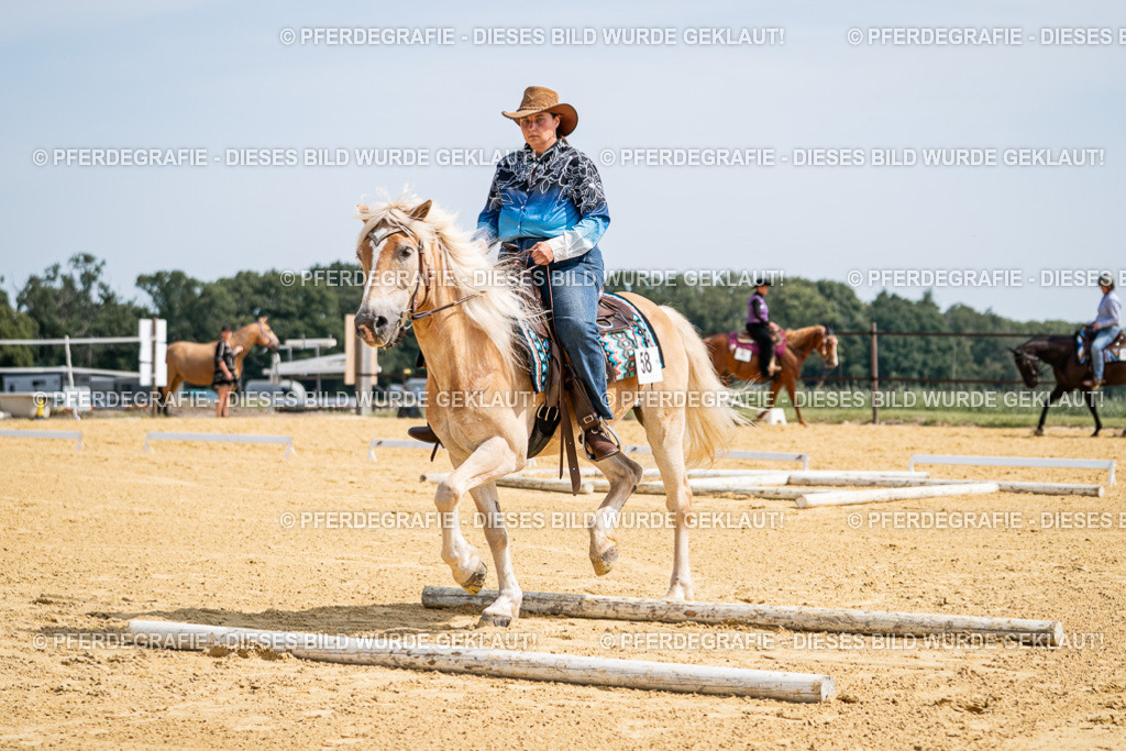 DSC09998 | Pferdegrafie