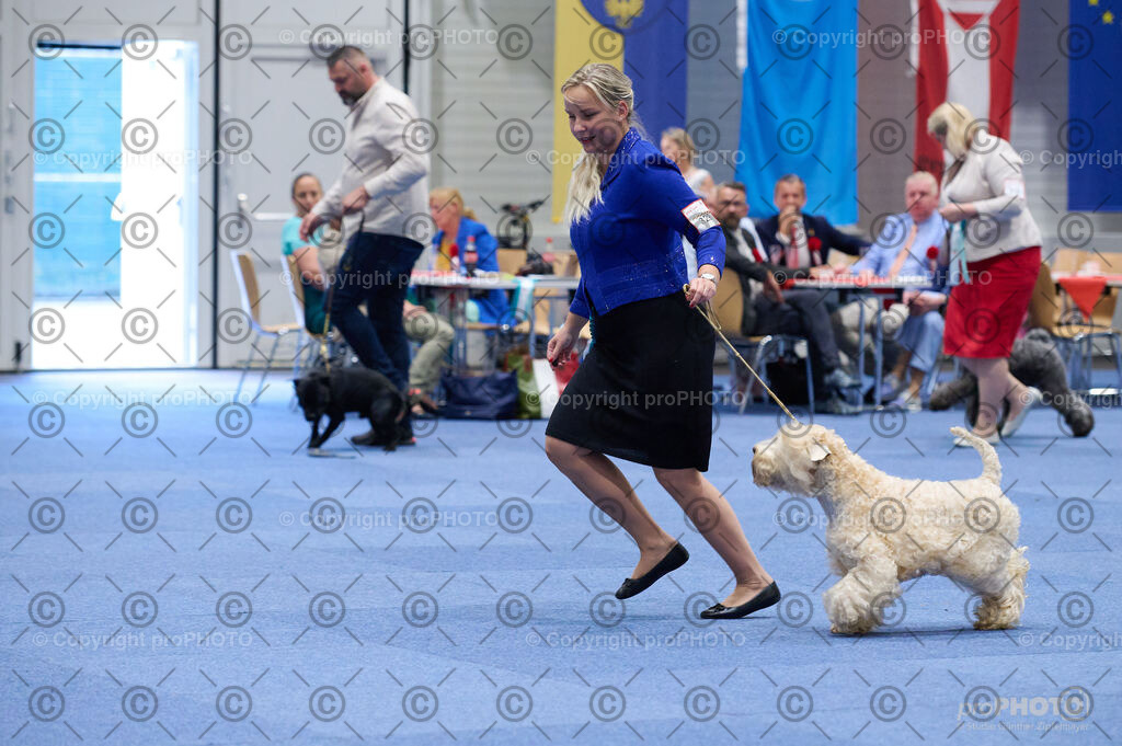 202406_ÖKV-IHA-Tulln24_DSC_2978 | proPHOTO - Realisiert mit Pictrs.com