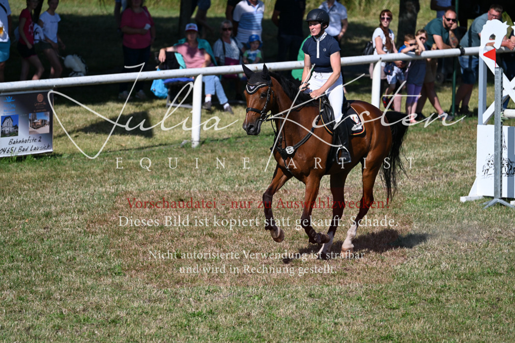 DSC_2218 | Pferde- und Turnierfotografie in Westsachsen. Pferdeportraits, Auftragszeichnungen und intuitive Kunst.