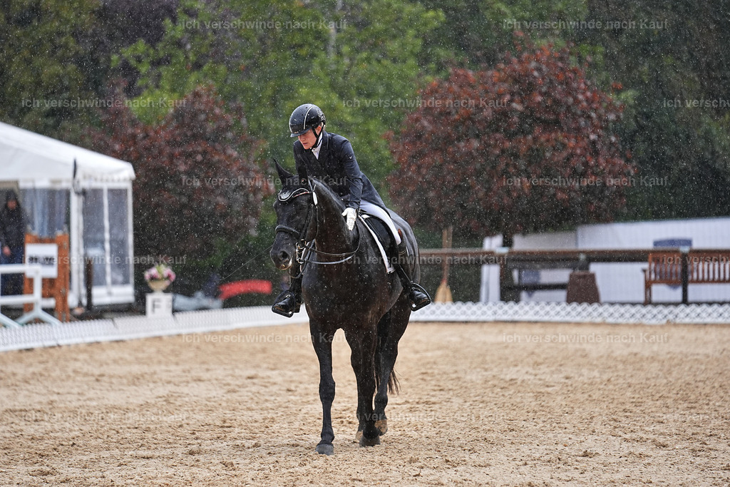 8_2-171-DRESSUR S_  -Marixx-4623 | working equitationturnier fotograf videograf stoibphotography marixx film working equitation deutschland reitsport turnierfotografie eventfotografie equestrian events