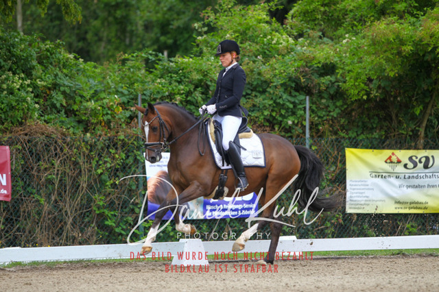 DKP40294 | Turniersportfotografie; Pferdefotografie; Dressurfotografie