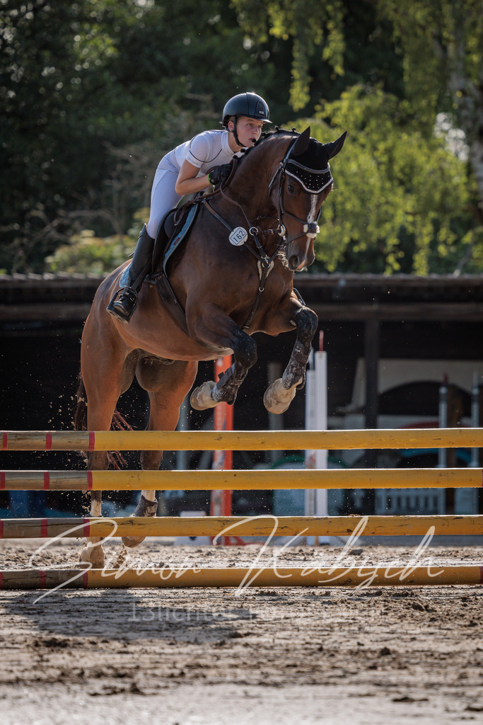 20260529-_3LI0237 | Tierfotografie Pferde, Hunde, Katzen, Haustiere.
Turnierfotografie Reitturniere, Reiten, Springreiten, Dressur in Hanau, dem Main-Kinzig-Kreis und dem Rhein-Main- Gebiet um Frankfurt