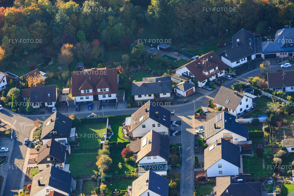 Südring | Luftbild: Südring in Rülzheim im Bundesland Rheinland-Pfalz in Deutschland. Foto: IMG_60465.jpg vom 24.10.2013 durch Werner Riehm/FLY-FOTO.de - Realisiert mit Pictrs.com