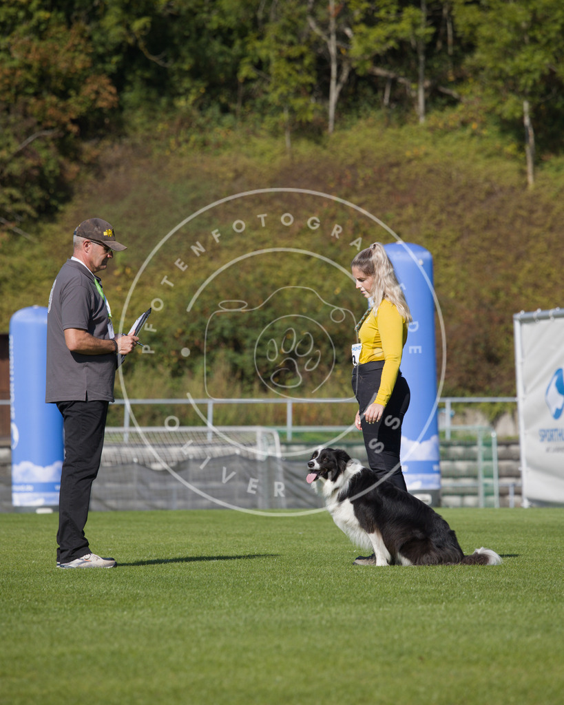 0L8A2388 | Hundefotografie, Tierfotograf, Pfotenfotografie, Fotoshooting Hund, Hunde Portrait, Hundesport, Hundeportraits, Heideshooting, Hunde, Sportfotograf, Hundefotograf, Turnierhundsport, THS,  - Realisiert mit Pictrs.com
