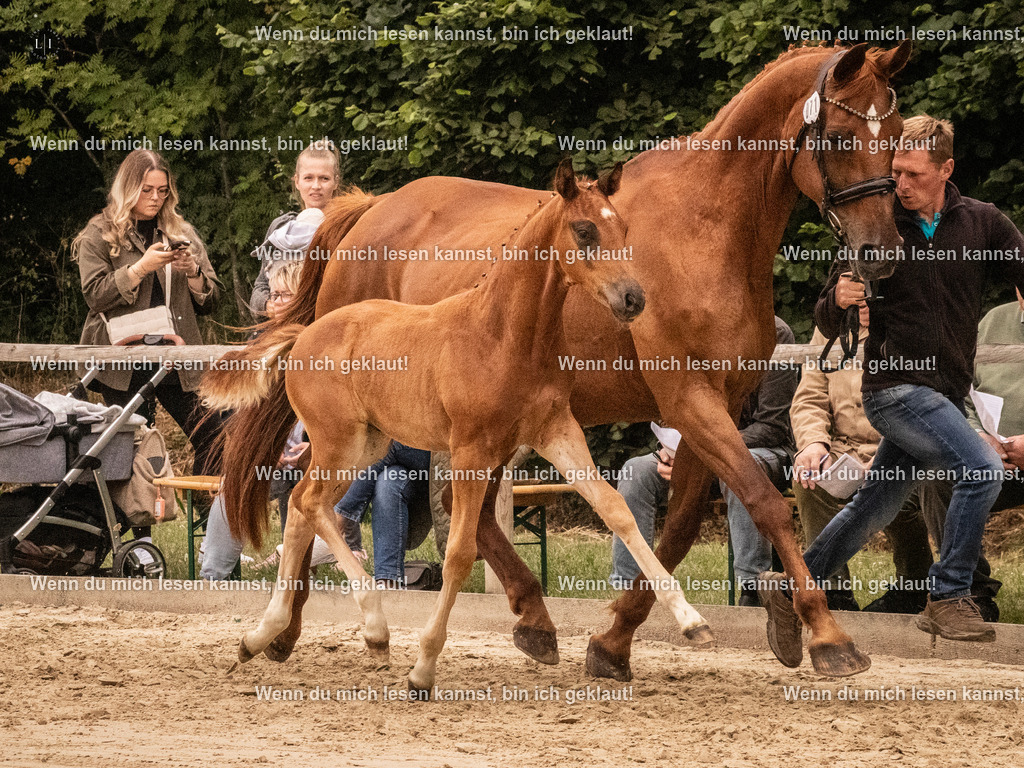 A10I1298 | photographylinaismer - Realisiert mit Pictrs.com