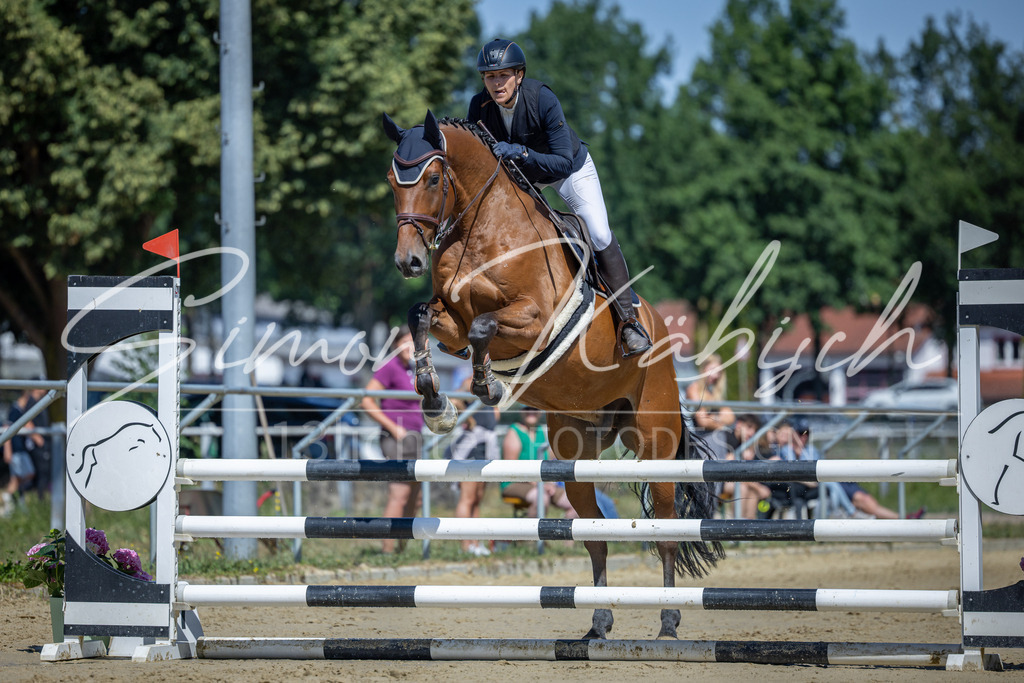 20260704-_3LI7822 | Tierfotografie Pferde, Hunde, Katzen, Haustiere.
Turnierfotografie Reitturniere, Reiten, Springreiten, Dressur in Hanau, dem Main-Kinzig-Kreis und dem Rhein-Main- Gebiet um Frankfurt