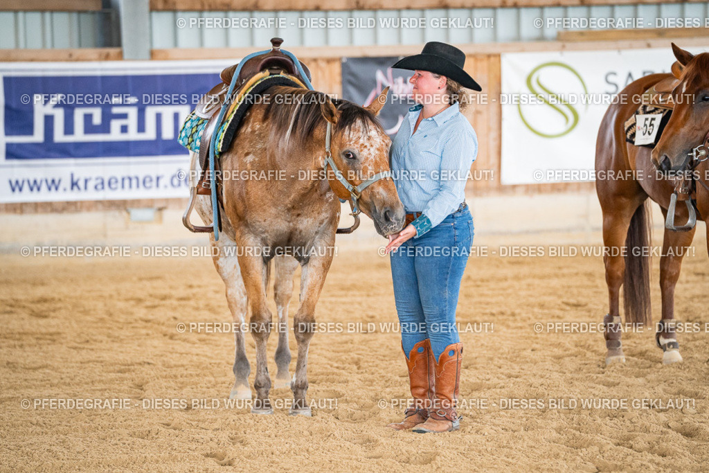 DSC04382 | Pferdegrafie