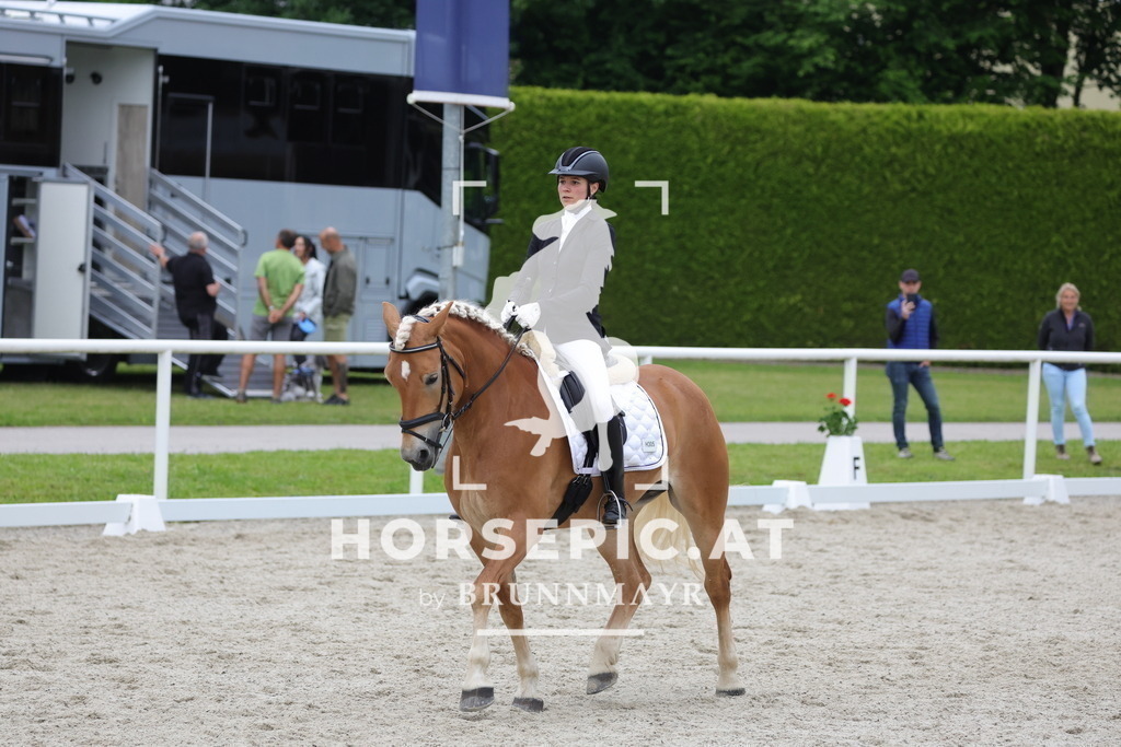 0P6A7081 | Willkommen bei Brunnmayr - Design & Fotografie – Ihrem Spezialisten für Reitturniere und Pferdeveranstaltungen in Oberösterreich, Salzburg und Bayern! Seit über 17 Jahren sind wir leidenschaftlich dabei.