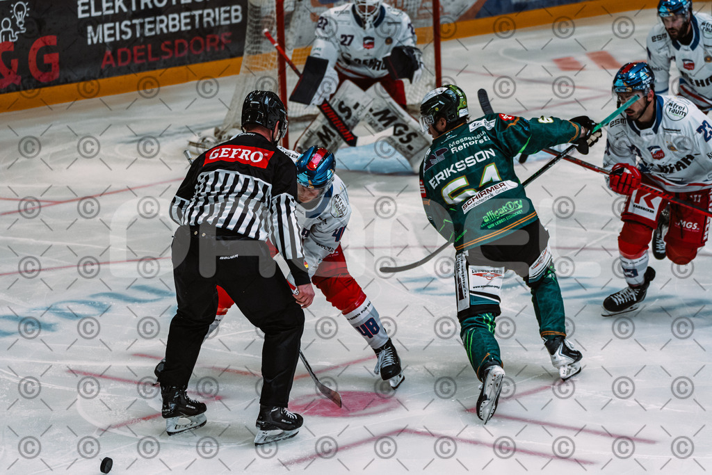 Alligators_vs_Selb_13_09_2026-33 | Die Fotogalerie von Daddel: professionelle Bilder von Sport, Events und Unternehmen aus Franken. Jetzt Galerien durchstöbern und Lieblingsfotos bestellen. - Realisiert mit Pictrs.com