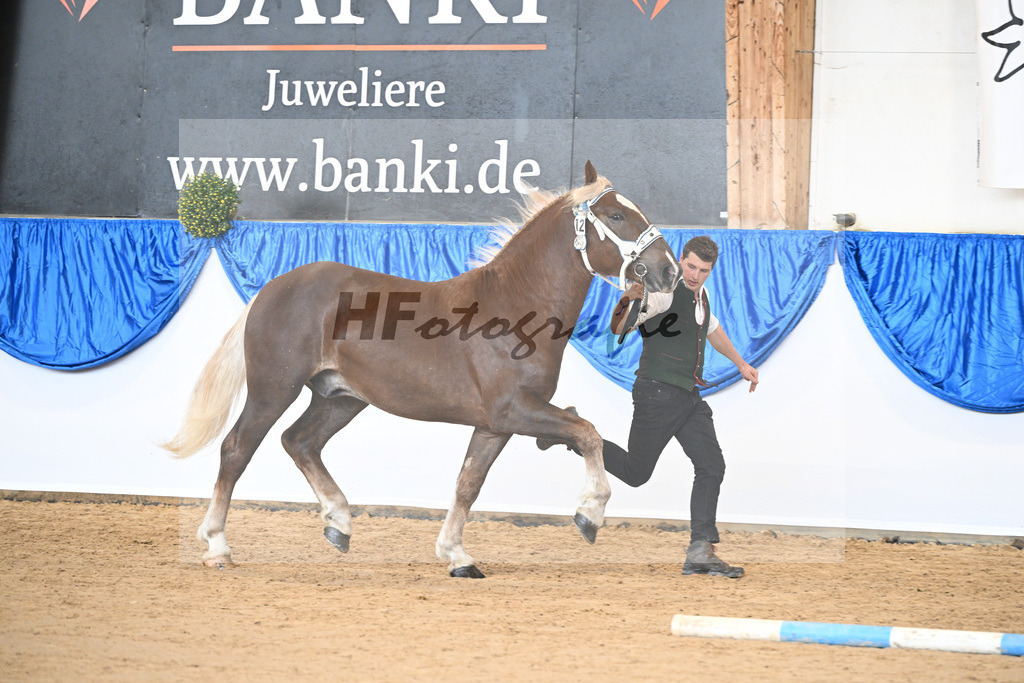 Kat-Nr. 12 nn v. Samu_Mair_39250182 | hf-fotografie - Realizzato con Pictrs.com