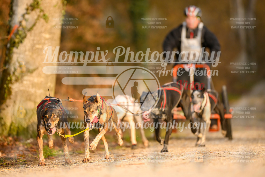 MompixPhotography_6ReiatRennen2026_SO_Kart-12 | PayLife