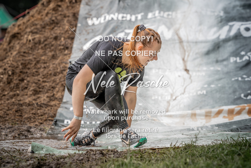 nelerasche_Wingst_Sa1300-1330_133 | nelerasche