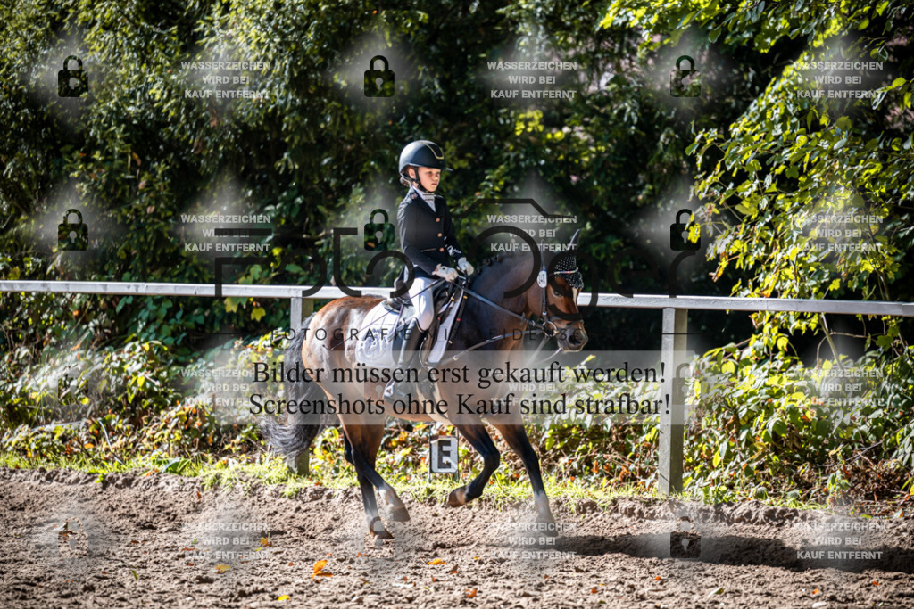 2026-10-Helle-20-4-0028 | Entdecke hochwertige Reitturnierfotos von Foto Oger. Professionell, emotional und authentisch – jetzt Lieblingsmomente im Shop bestellen.Deutschlandweite Turnierfotografie. - Realisiert mit Pictrs.com