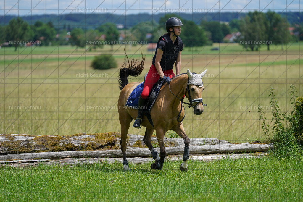 20240622-FAH07303 | Turnierfotografen Bayern, Reitsportbilder aus dem Geländekurs mit Felix Etzel auf dem Gut Waitzacker 2024