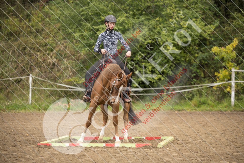 CON_9351 | Sport-, Event- und Tierfotos in Profiqualität. Einfach auswählen, bestellen und herunterladen. Dein Moment – perfekt festgehalten.