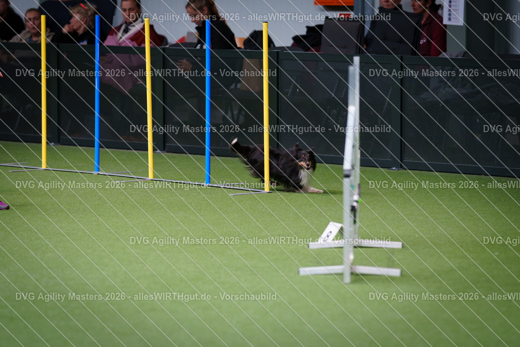 allesWIRTHgut_Tierfotografie-DVG_Agility_Masters_2026-12_07-7R507362 | Professionelle Tierfotografie in Mönchengladbach von Daniel Wirth (allesWIRTHgut). Liebevolle & natürliche Bilder von Hunden & Katzen für unvergessliche Erinnerungen.
