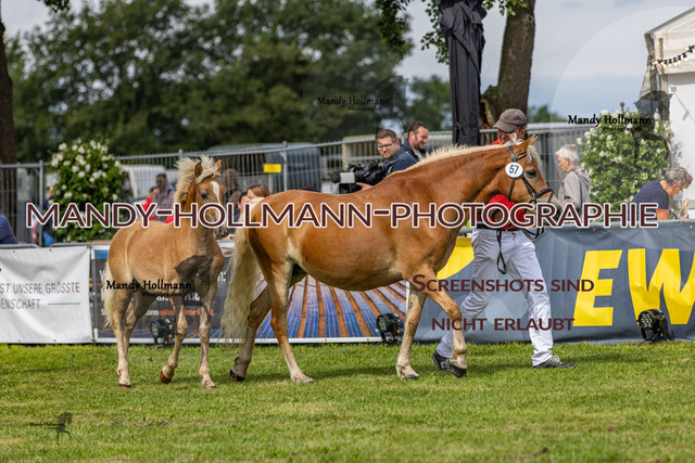 LTN 2024 (491) | mandyhollmannphotographie