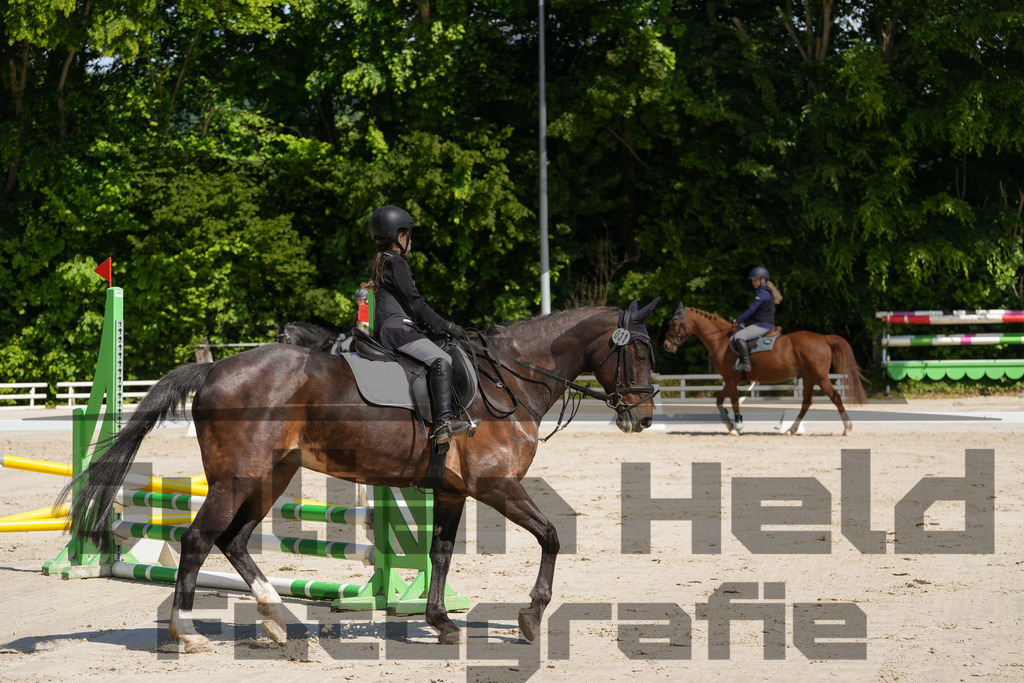 DSC03219 | Julian Held Fotografie - Realisiert mit Pictrs.com