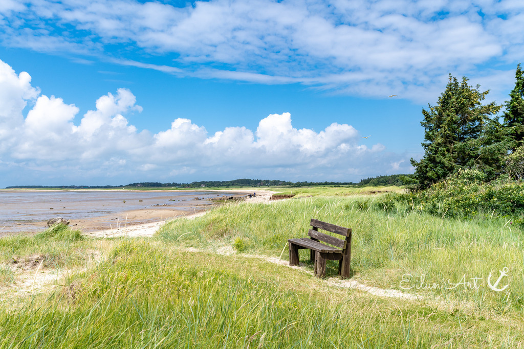 20240616-EAF_2092 | Eilun-Art-Fotografie Levke Martens, ihre Fotografin für Immobilien- und Landschaftsfotografie auf Föhr, Föhrer Motive als Poster, Leinwand, hinter Acrylglas oder stelle dir deinen eigenen Monatskalender zusammen, mit nur einem Klick