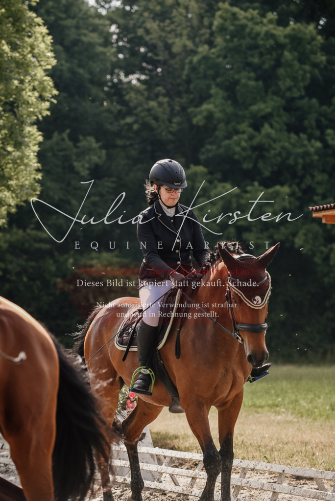 DSC_8457 | Pferde- und Turnierfotografie in Westsachsen. Pferdeportraits, Auftragszeichnungen und intuitive Kunst.