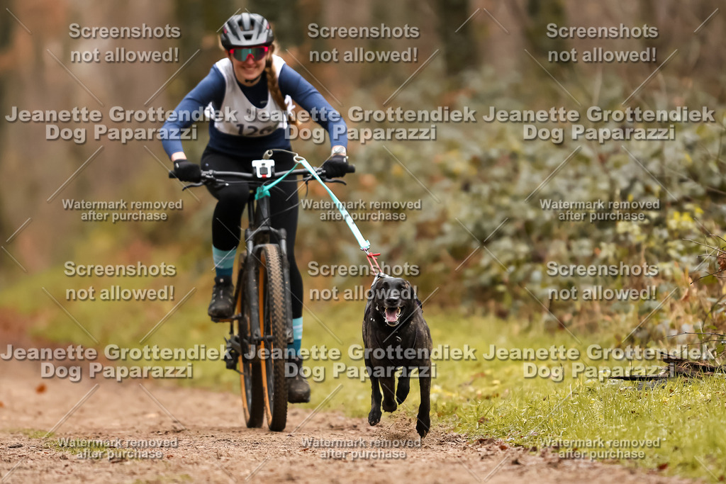 Dog Paparazzi - Speedhunter Mannheim  2025-351 | Dog Paparazzi Jeanette Grottendiek Fotografie & Videografie