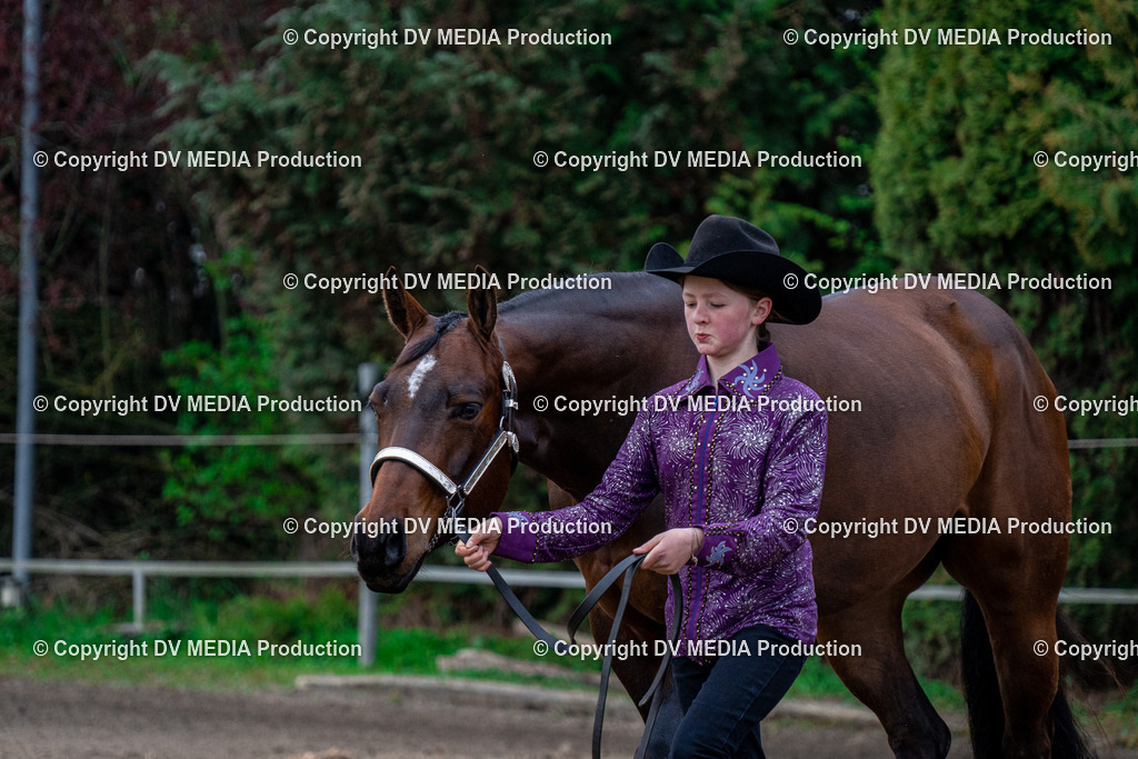 BA300020 | dv-media-shop - Realisiert mit Pictrs.com