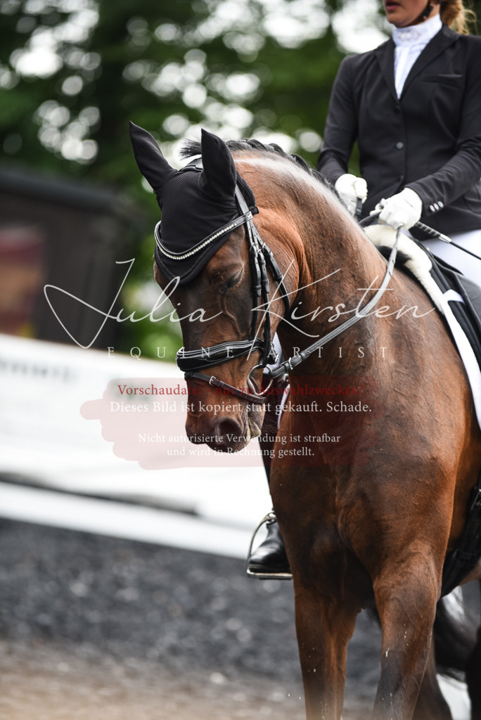 DSC_2938 | Pferde- und Turnierfotografie in Westsachsen. Pferdeportraits, Auftragszeichnungen und intuitive Kunst.