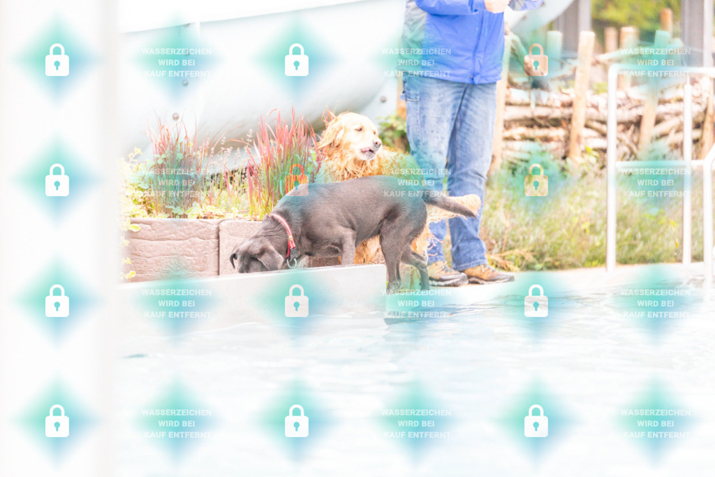 _HP_7171_1000o | HetPix, HetPix Fotodesign, Fotografie, Fotodesign, Webshop, Sportfotografie, Portraitfotografie, Onlineshop, Sportfotografie, Polch, Motorsportfotografie, Eventfotografie