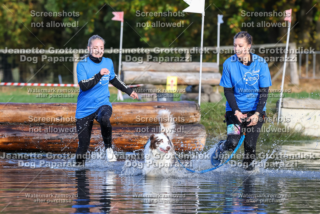Dog Paparazzi - Strongdog 10-25-8538 | Dog Paparazzi Jeanette Grottendiek Fotografie & Videografie - Realisiert mit Pictrs.com