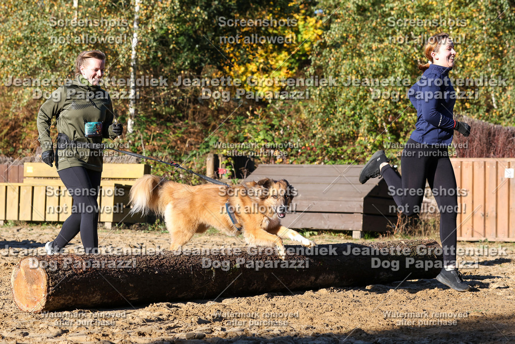 Dog Paparazzi - Strongdog 10-25-1483 | Dog Paparazzi Jeanette Grottendiek Fotografie & Videografie - Realisiert mit Pictrs.com