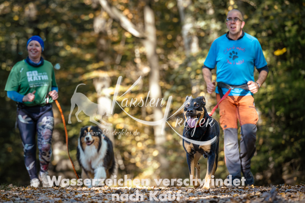 1139_ZZ92995 | kk-dogfotos