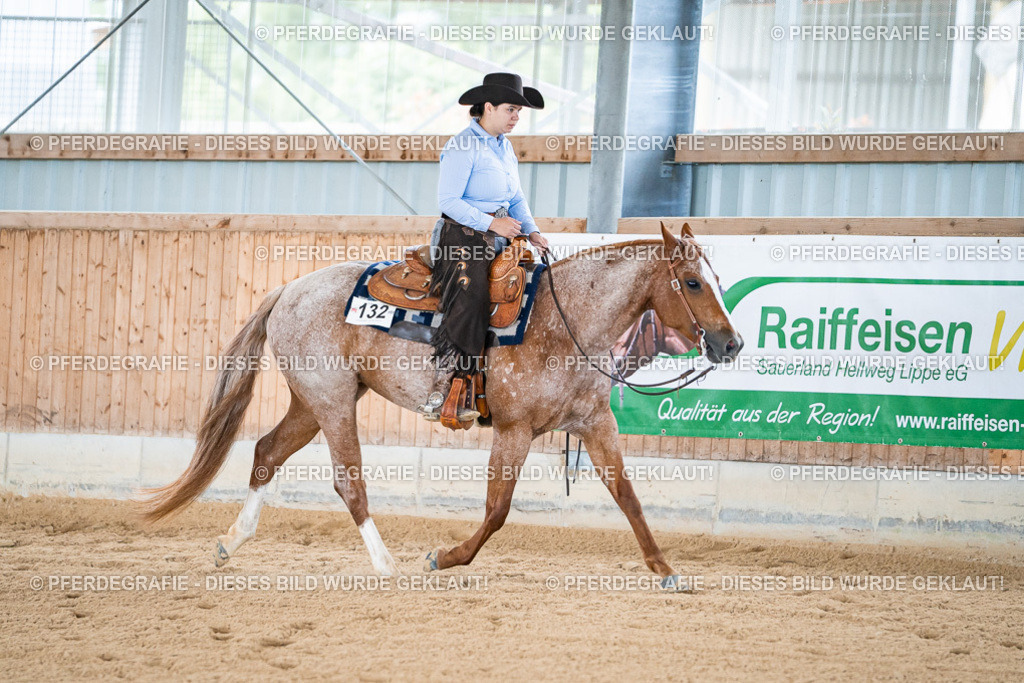 DSC08128 | Pferdegrafie