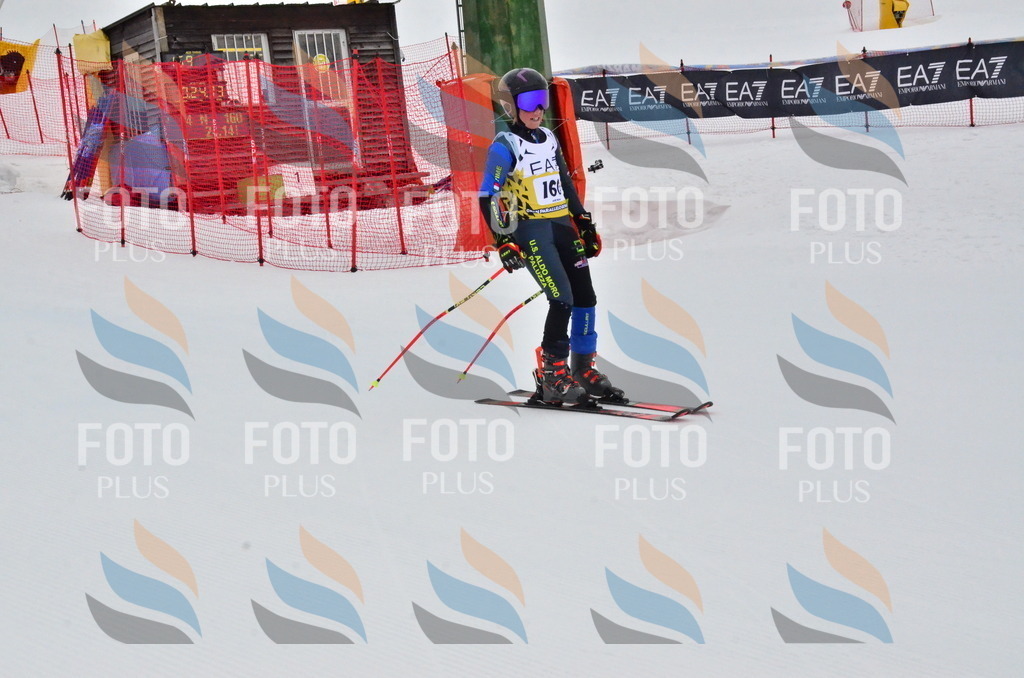 _ELE3855 | holidayphoto