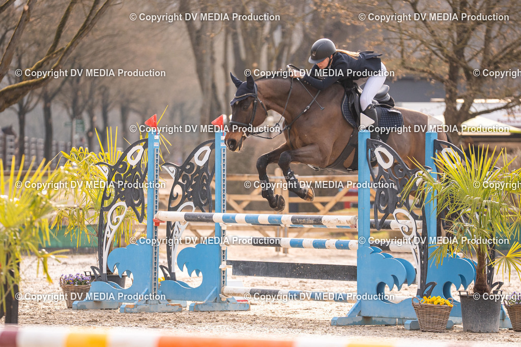 Kranichstein Tag 2-1448 | dv-media-shop - Realisiert mit Pictrs.com